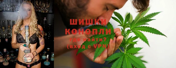 шишки Тавда
