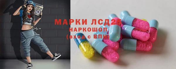 дживик Ельня