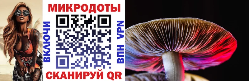 Псилоцибиновые грибы Magic Shrooms  Купить закладки  Сольцы 